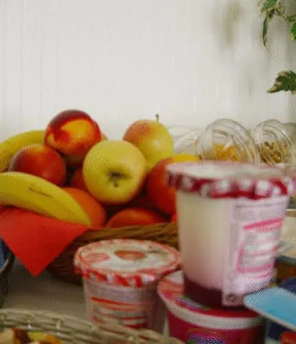 英厄堡旅馆 柏林